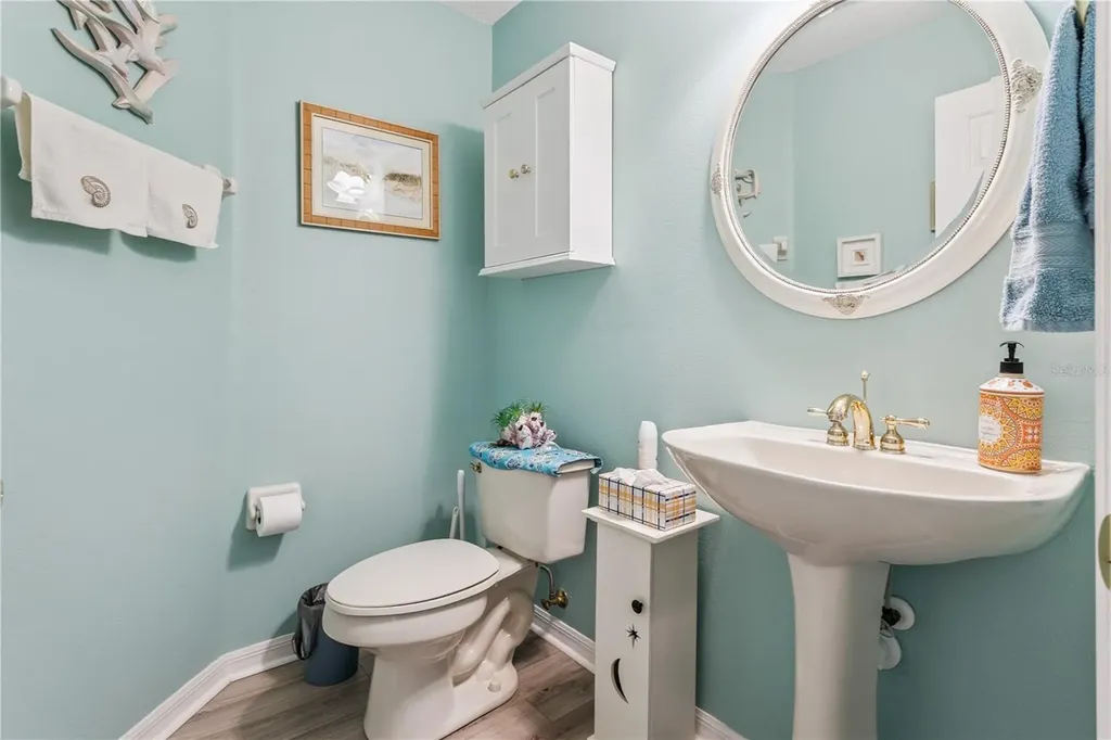 24215 Belle Mede Drive Leesburg FL 34748