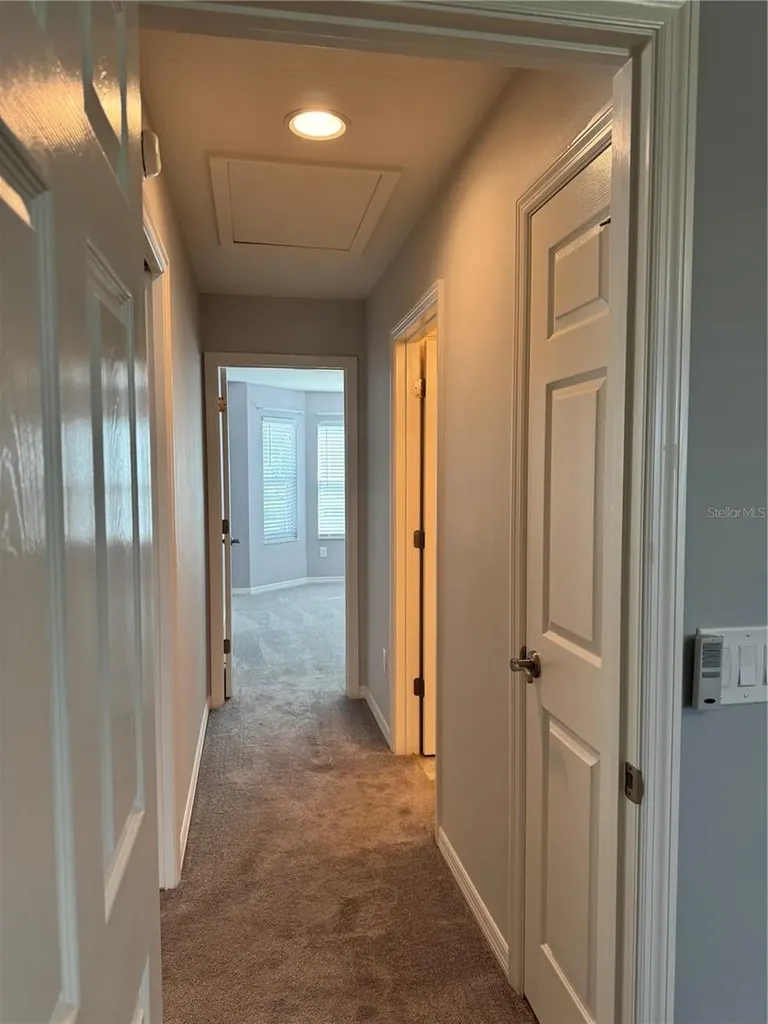 1006 Ann Avenue Lady Lake FL 32159