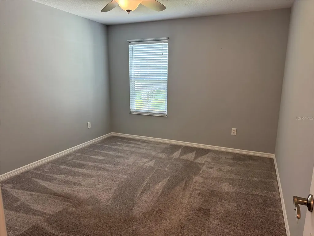 1006 Ann Avenue Lady Lake FL 32159