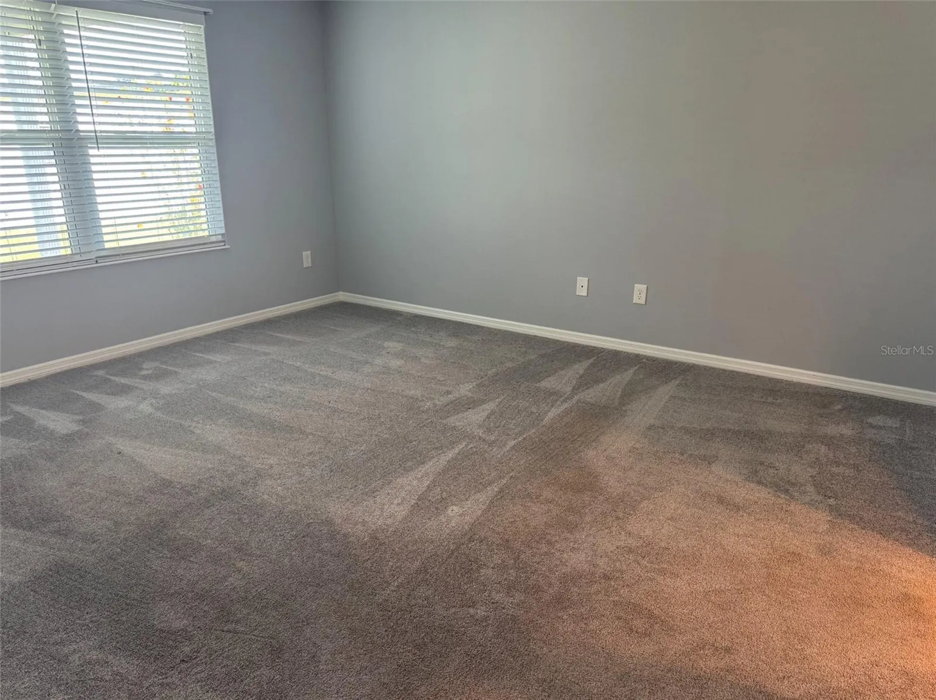1006 Ann Avenue Lady Lake FL 32159