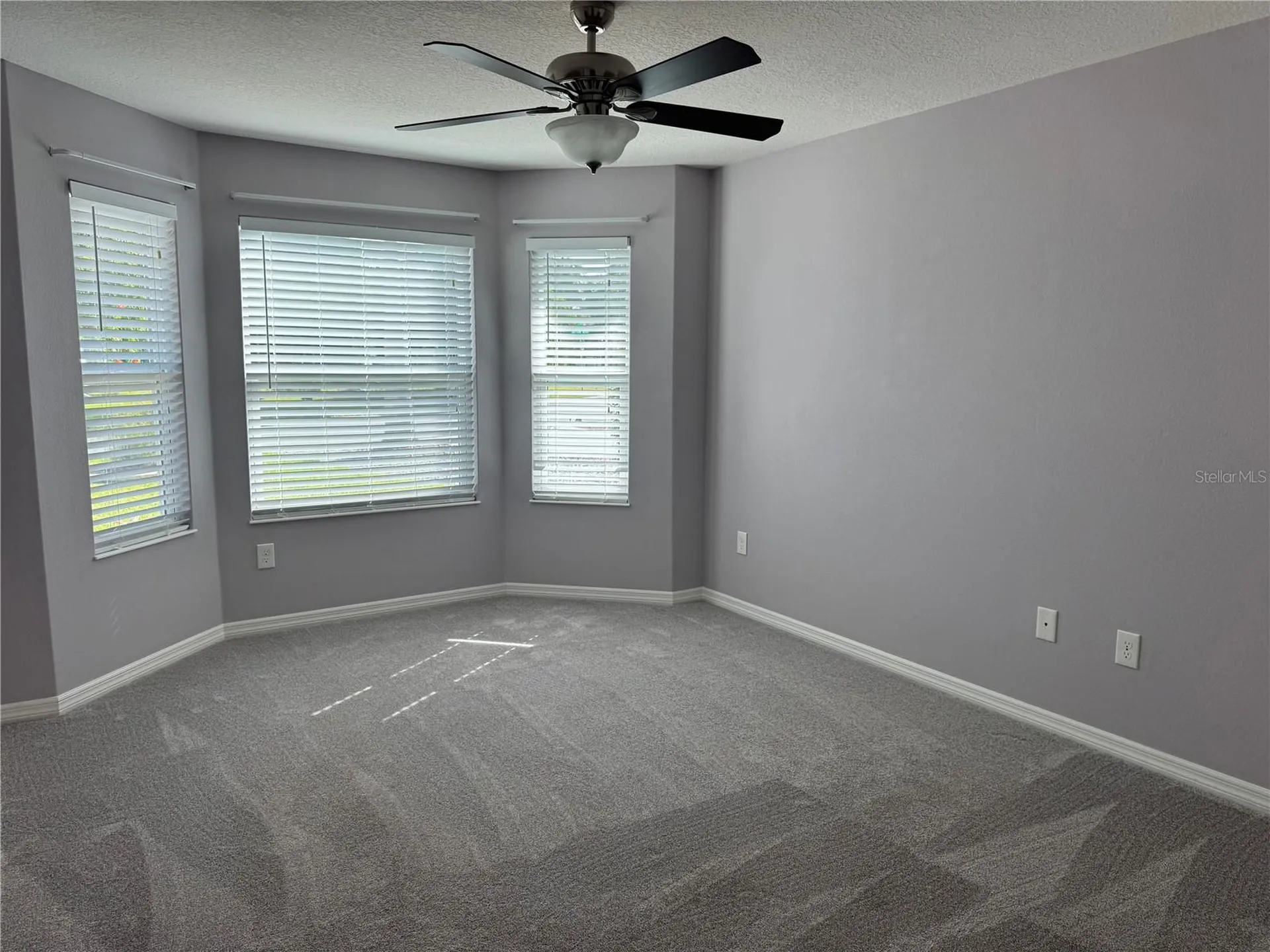 1006 Ann Avenue Lady Lake FL 32159