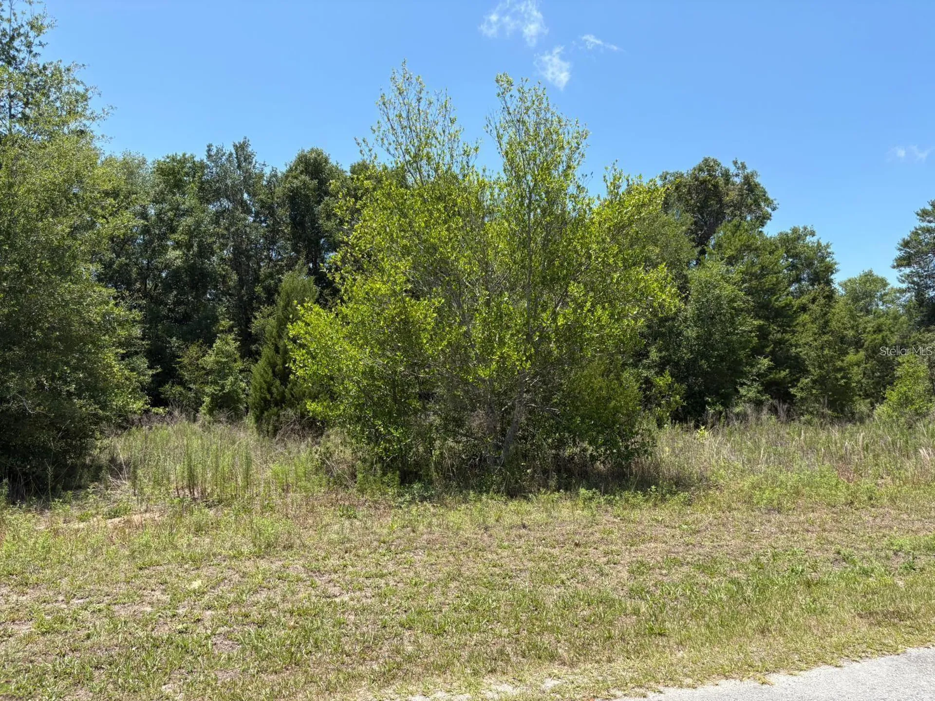 6642 N Flower Terrace Hernando FL 34442