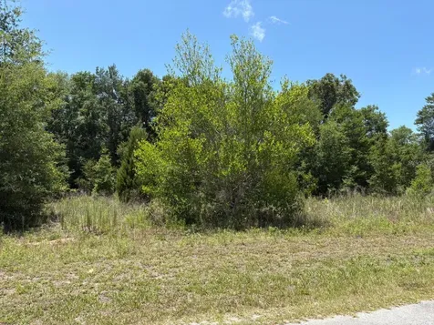 6642 N Flower Terrace Hernando FL 34442