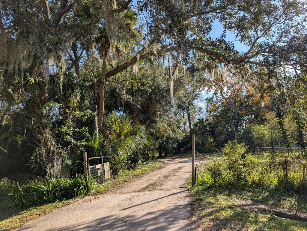 25314 Luke Street Christmas FL 32709