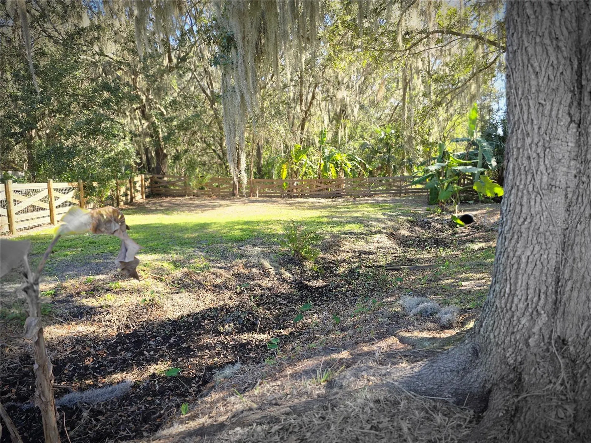 27410 Yalaha Cut Off Road Yalaha FL 34797