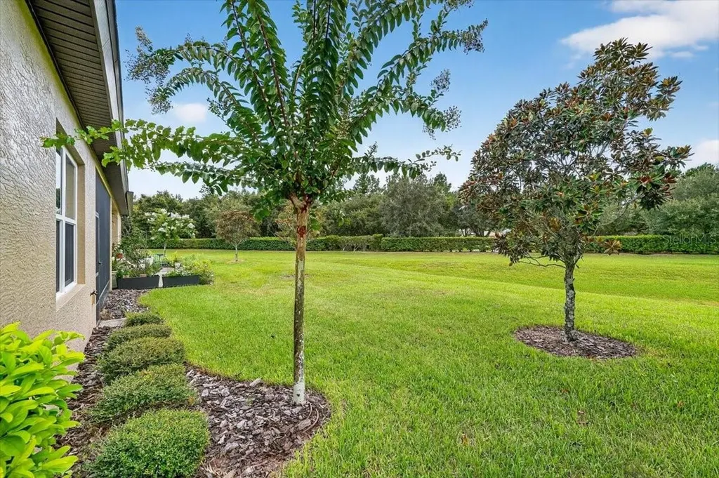3124 Bailey Ann Drive Ormond Beach FL 32174