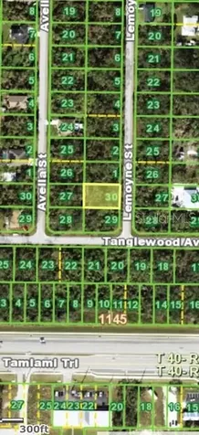 449 Lemoyne Street Port Charlotte FL 33954