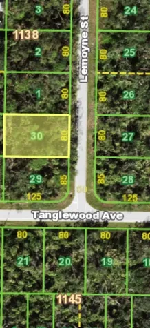 449 Lemoyne Street Port Charlotte FL 33954