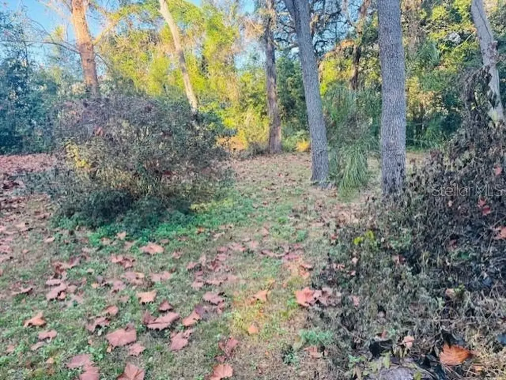 4547 Cr 692 Webster FL 33597