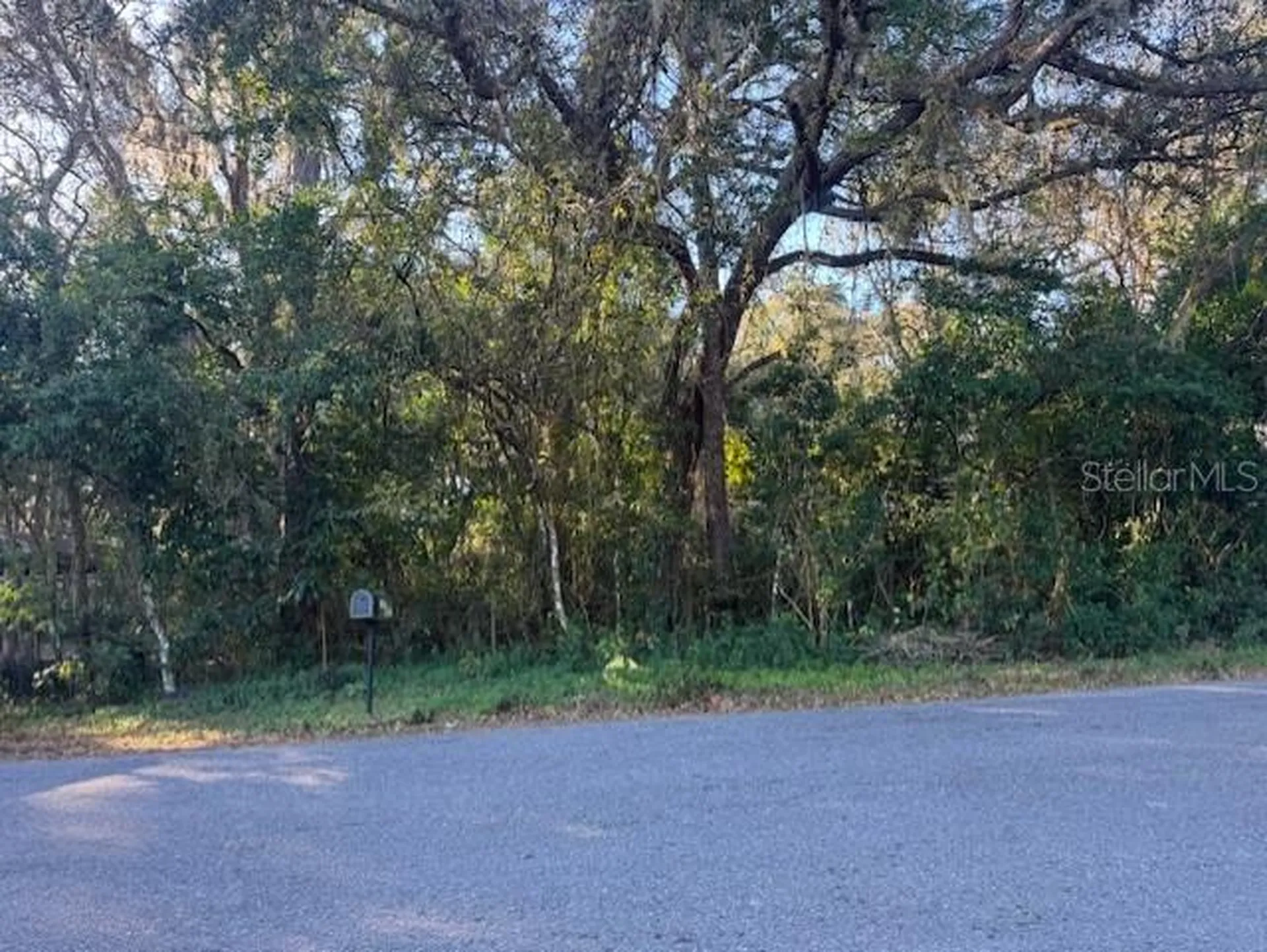 4547 Cr 692 Webster FL 33597