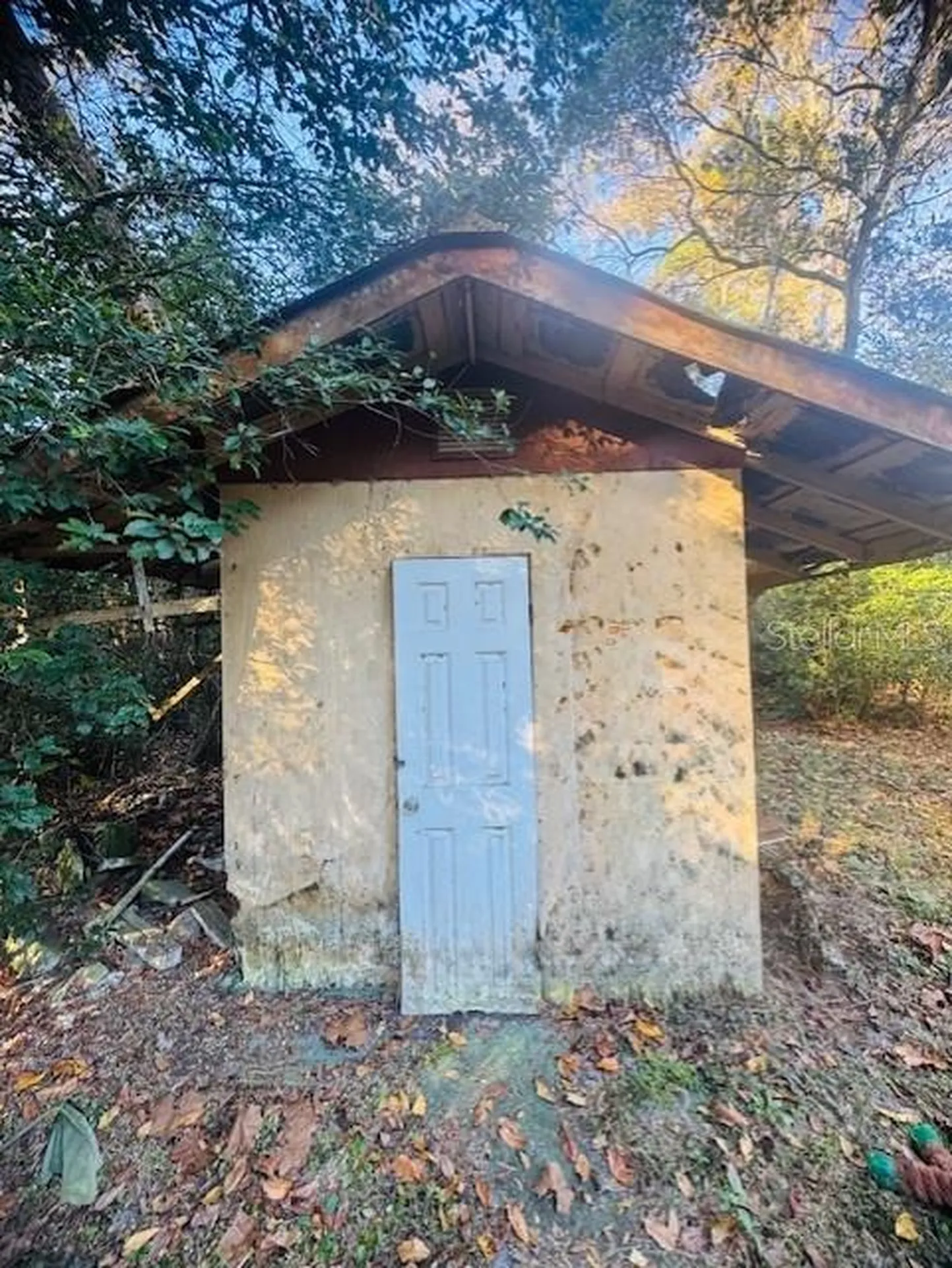 4547 Cr 692 Webster FL 33597