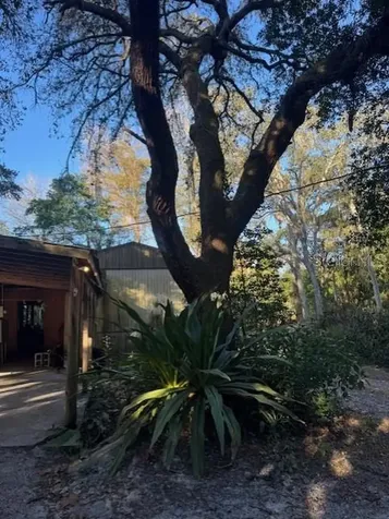 4547 Cr 692 Webster FL 33597