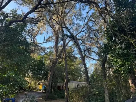 4547 Cr 692 Webster FL 33597