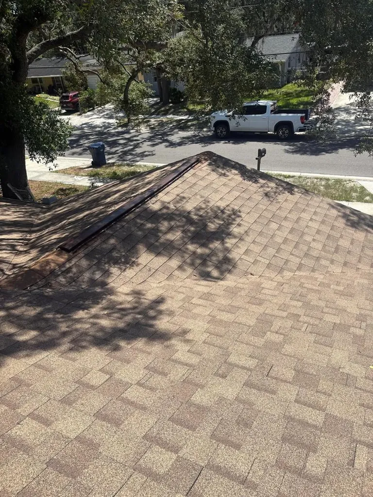 11102 28th Street Tampa FL 33612