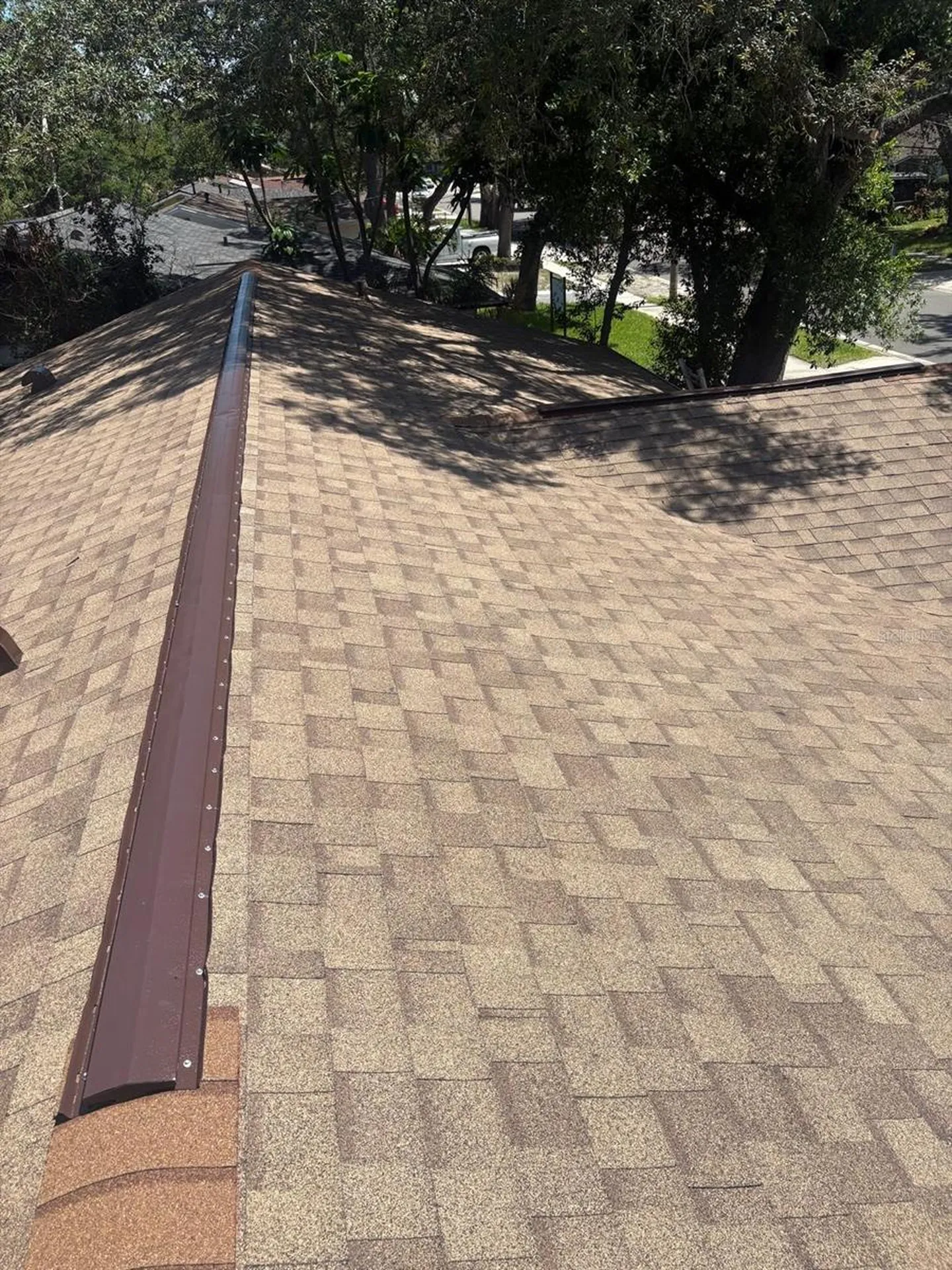 11102 28th Street Tampa FL 33612