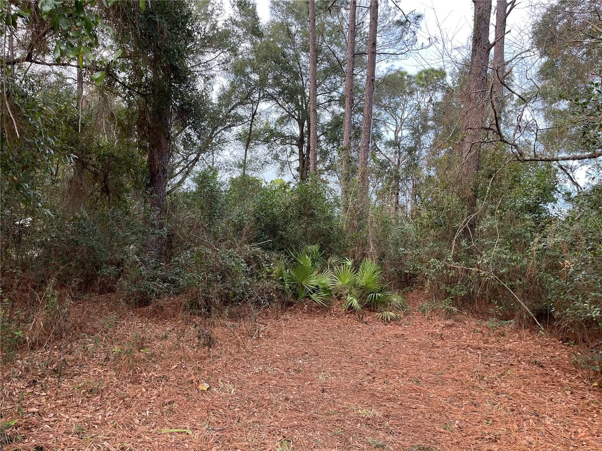 NW 20th Street Ocala FL 34482