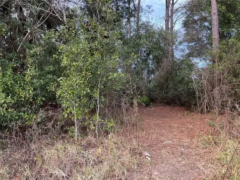 NW 20th Street Ocala FL 34482