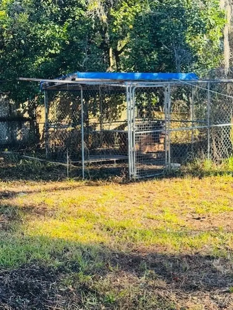 11417 SW 42nd Terrace Webster FL 33597