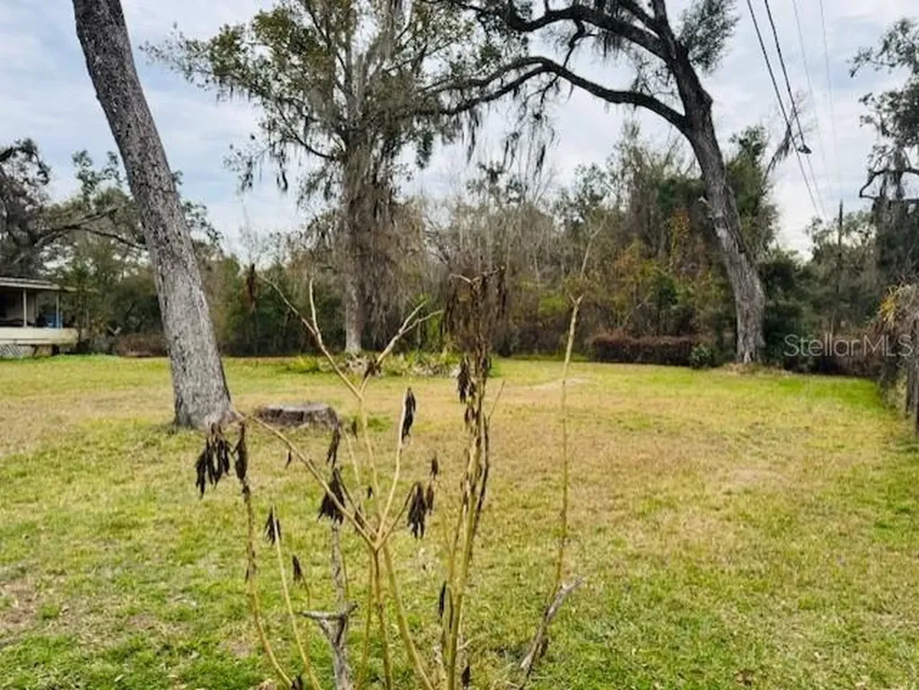 11417 SW 42nd Terrace Webster FL 33597