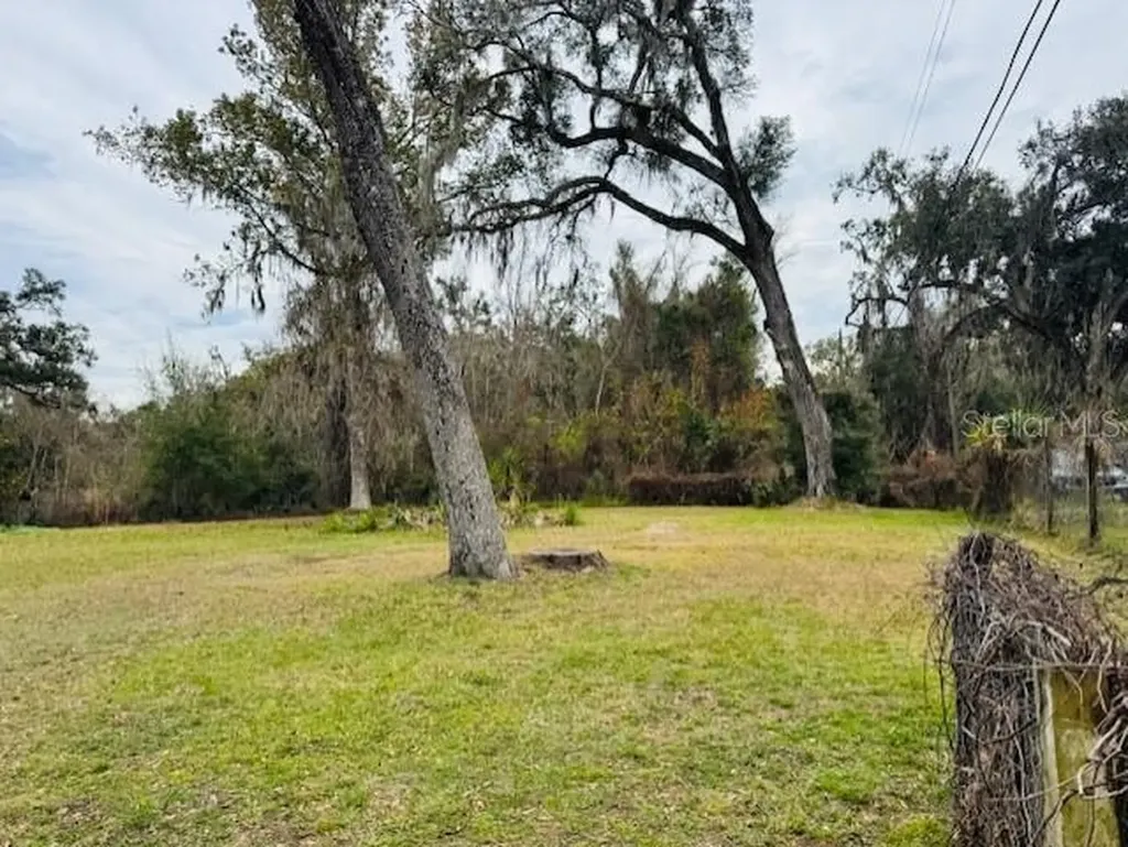 11417 SW 42nd Terrace Webster FL 33597