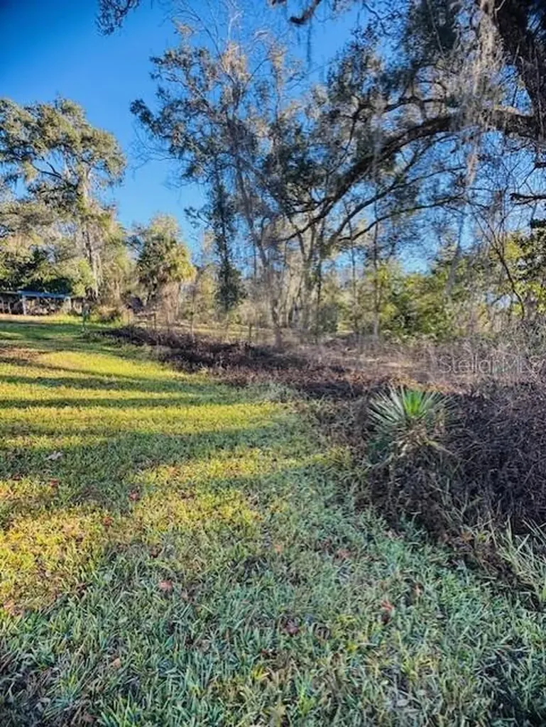 11417 SW 42nd Terrace Webster FL 33597