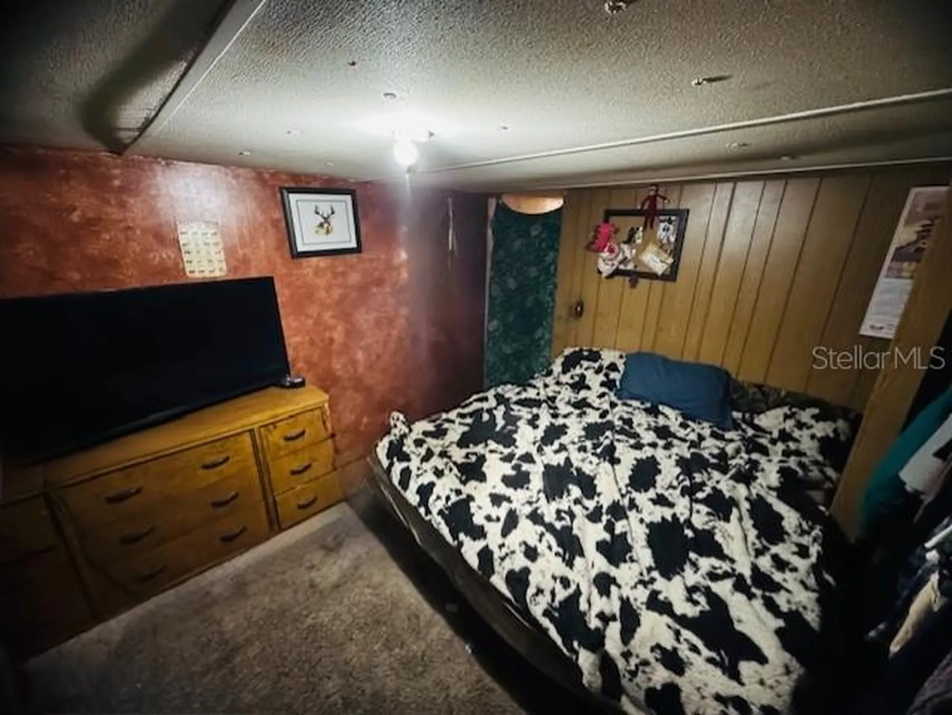 11417 SW 42nd Terrace Webster FL 33597