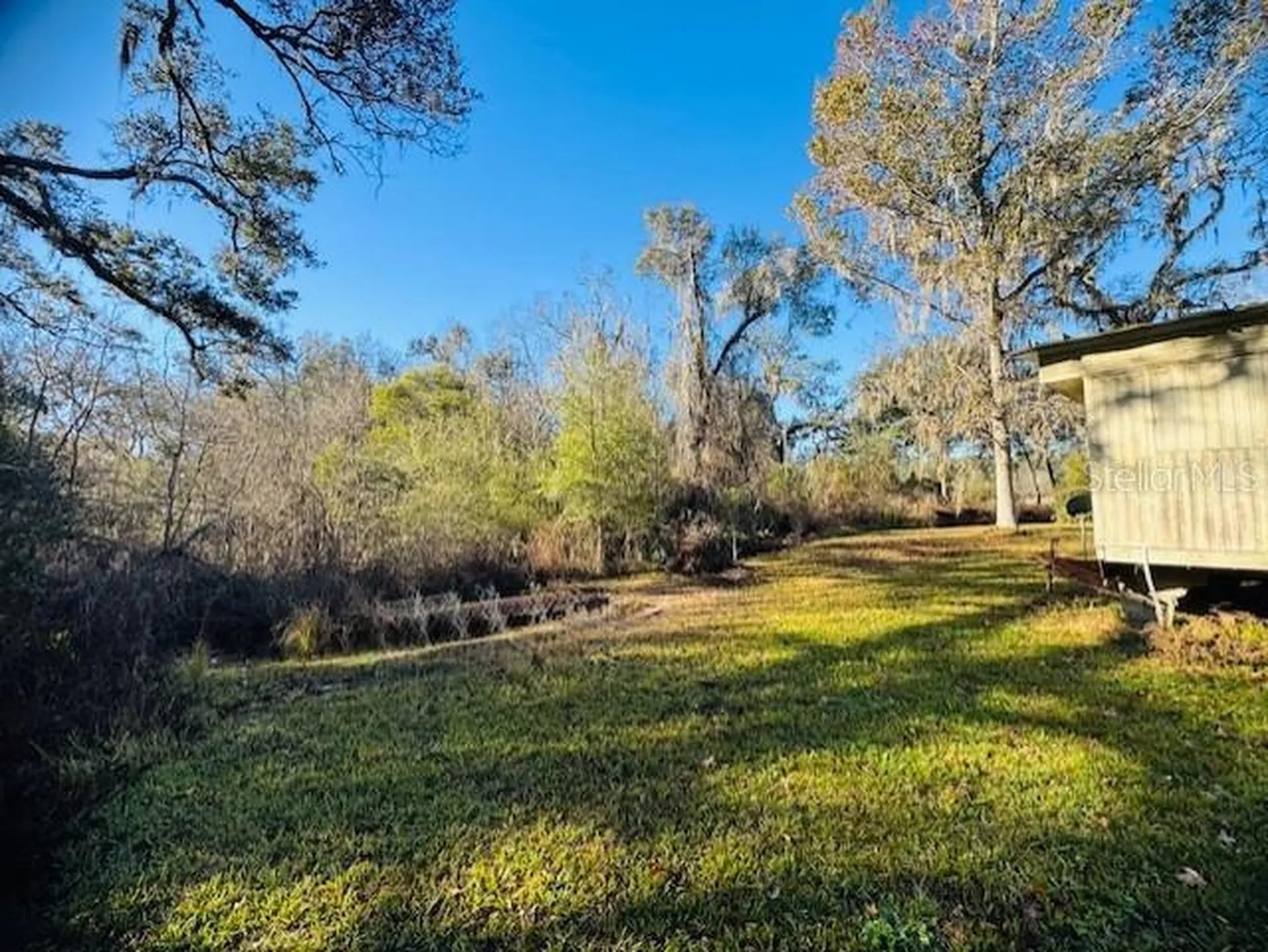 11417 SW 42nd Terrace Webster FL 33597