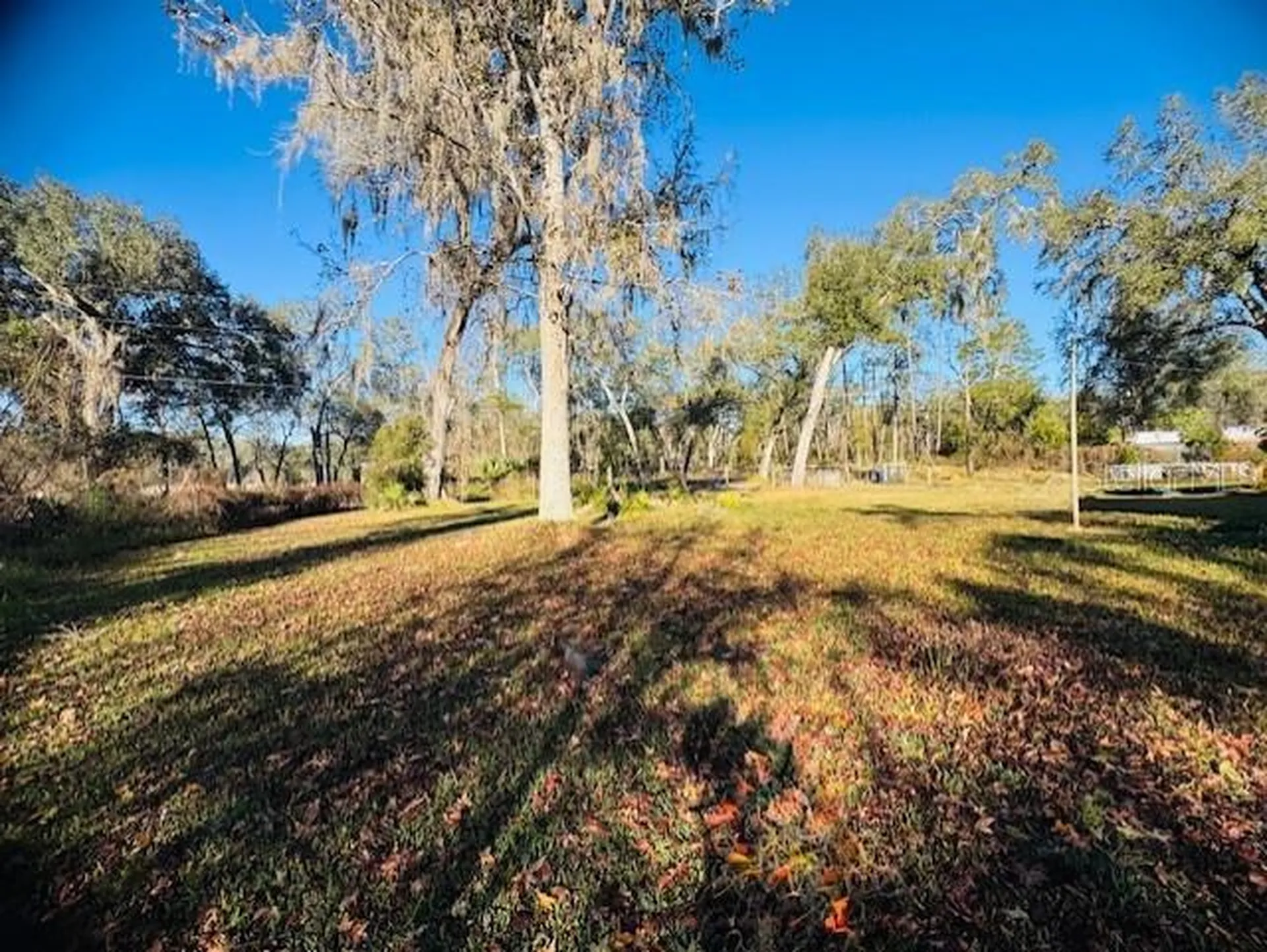 11417 SW 42nd Terrace Webster FL 33597