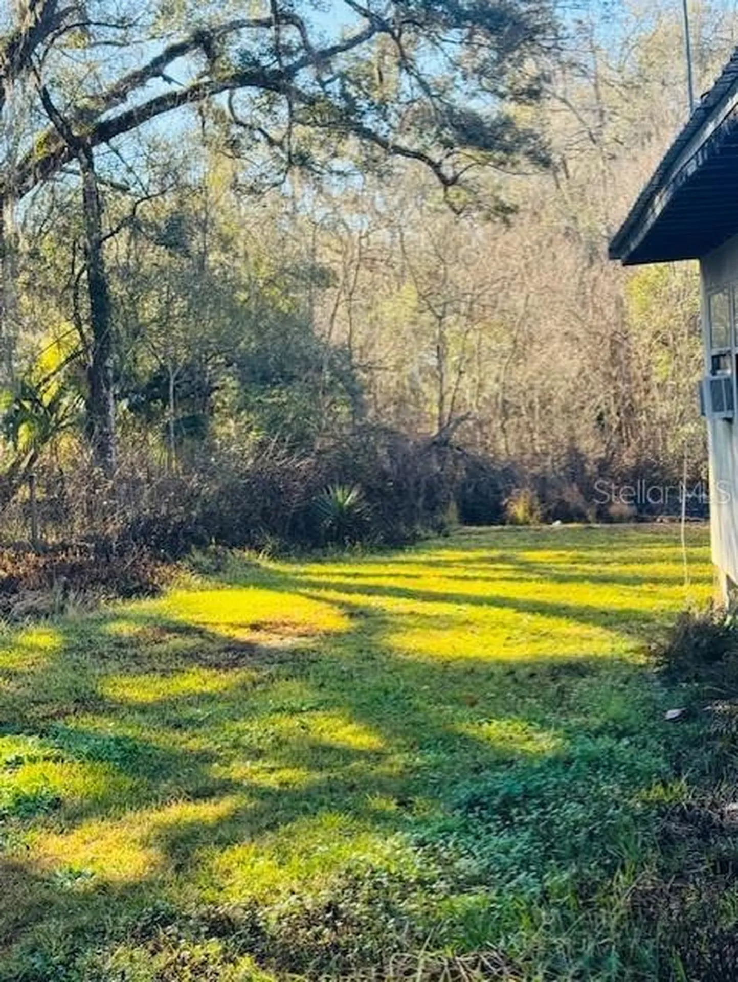 11417 SW 42nd Terrace Webster FL 33597