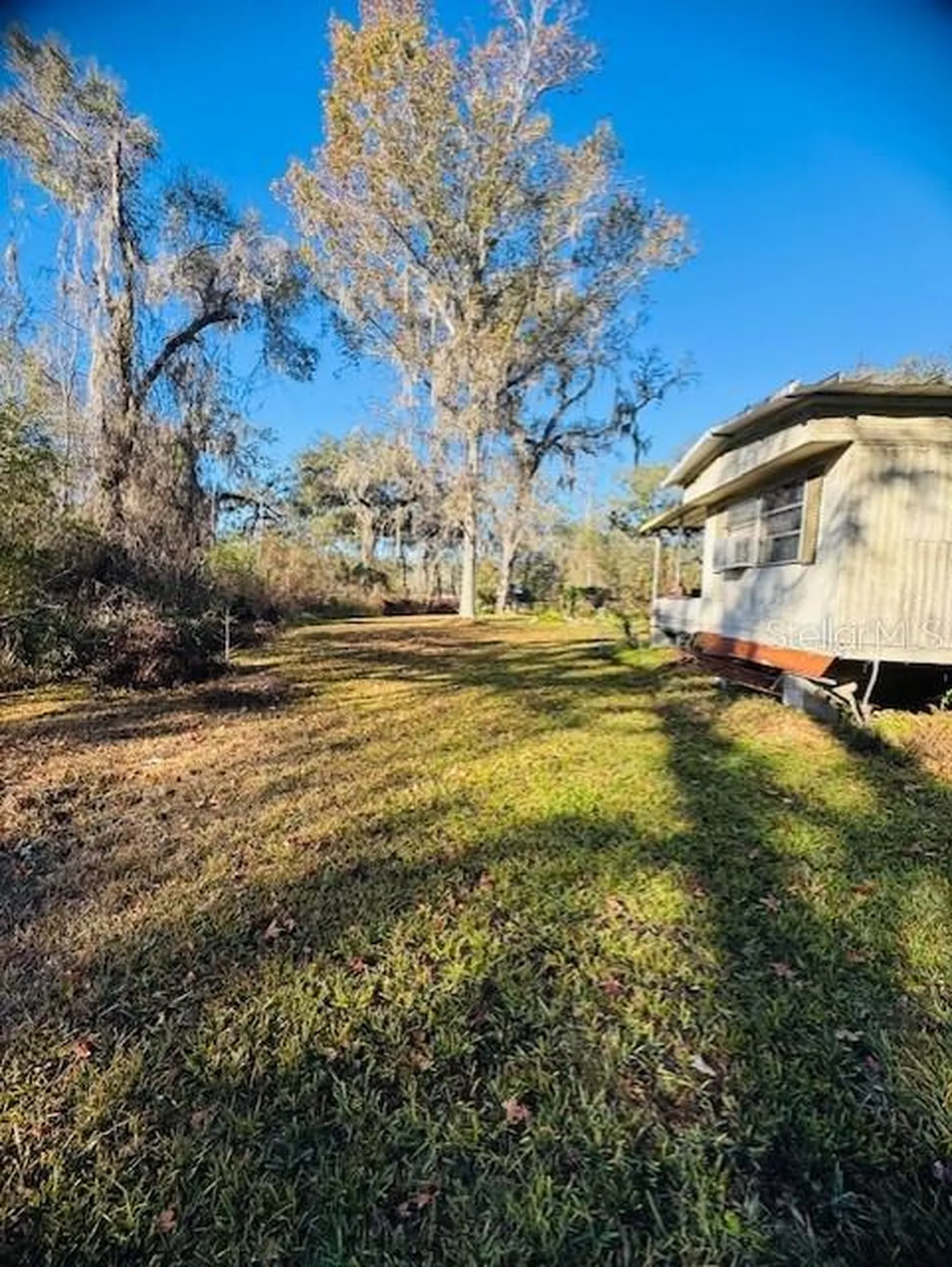 11417 SW 42nd Terrace Webster FL 33597