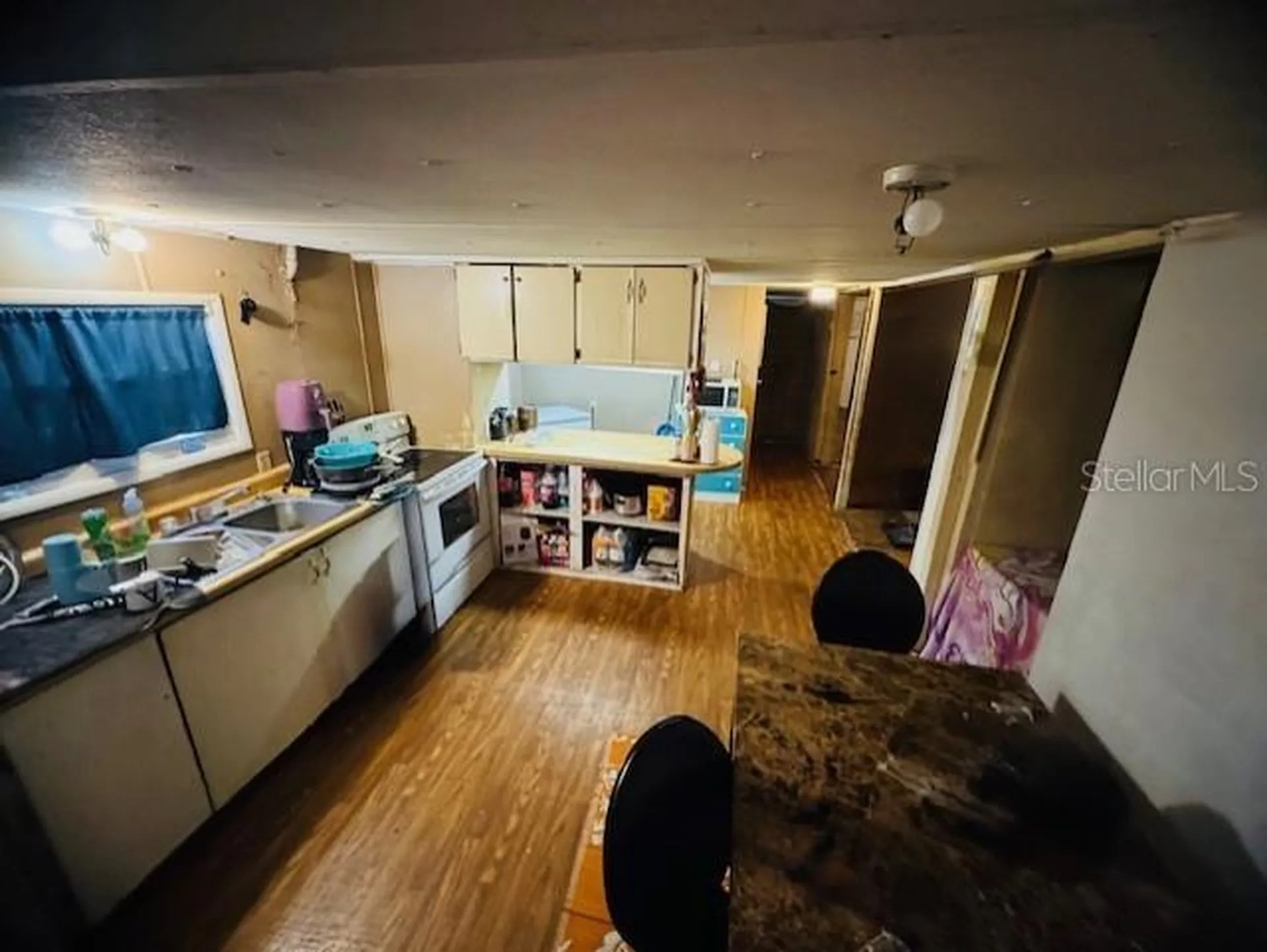11417 SW 42nd Terrace Webster FL 33597