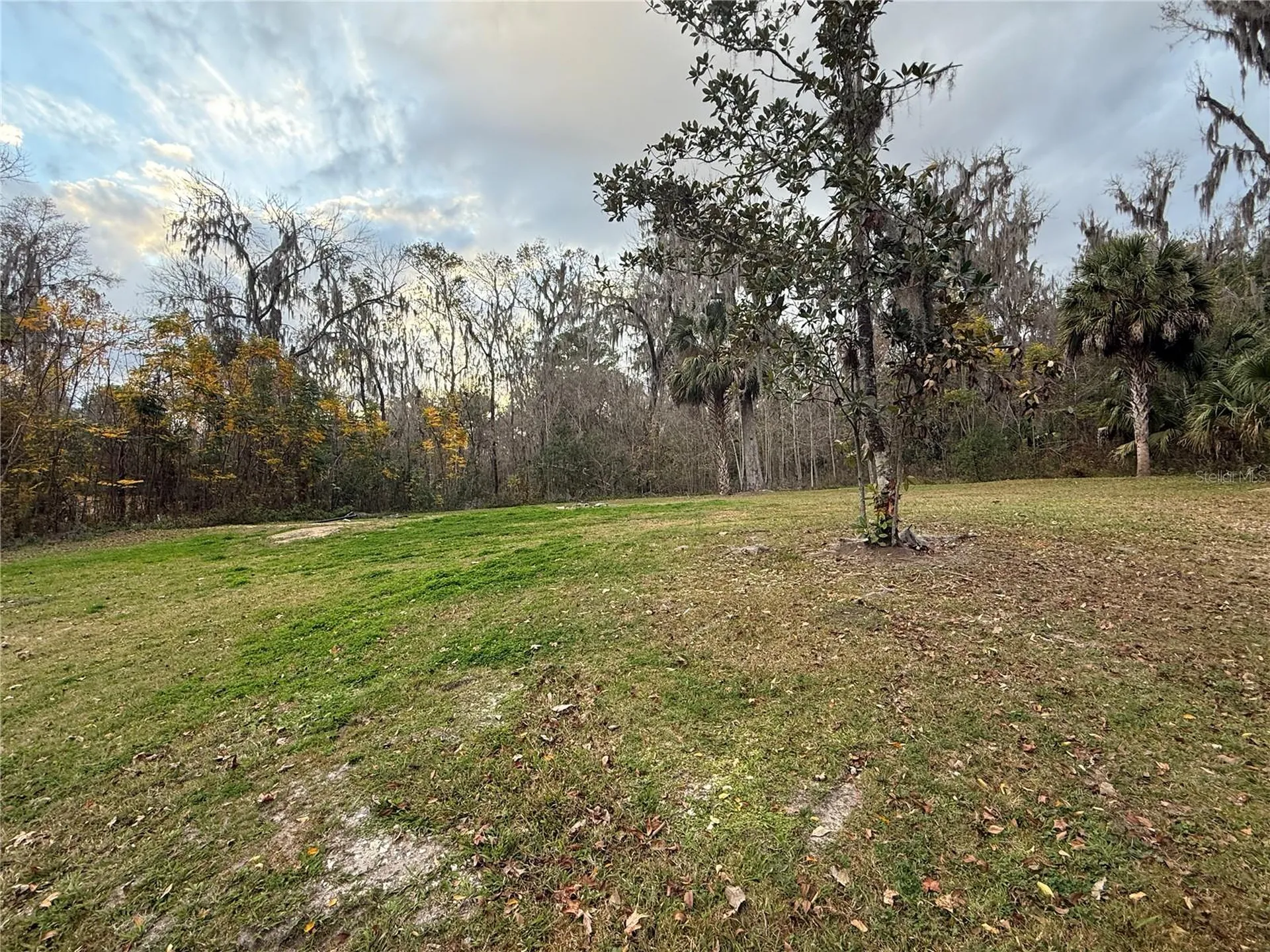 12626 SE 42nd Court Belleview FL 34420