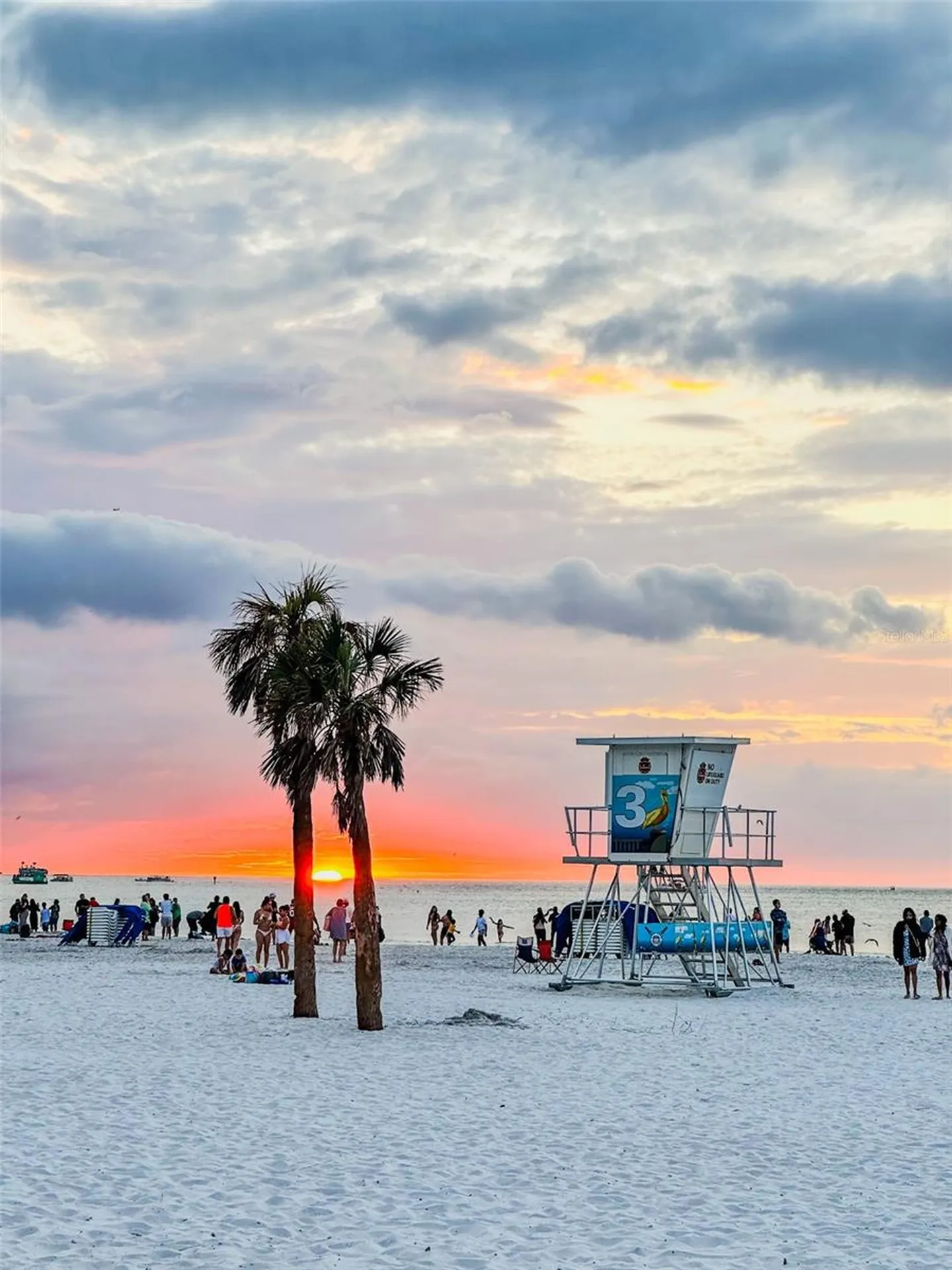 701 S Madison Avenue Clearwater FL 33756