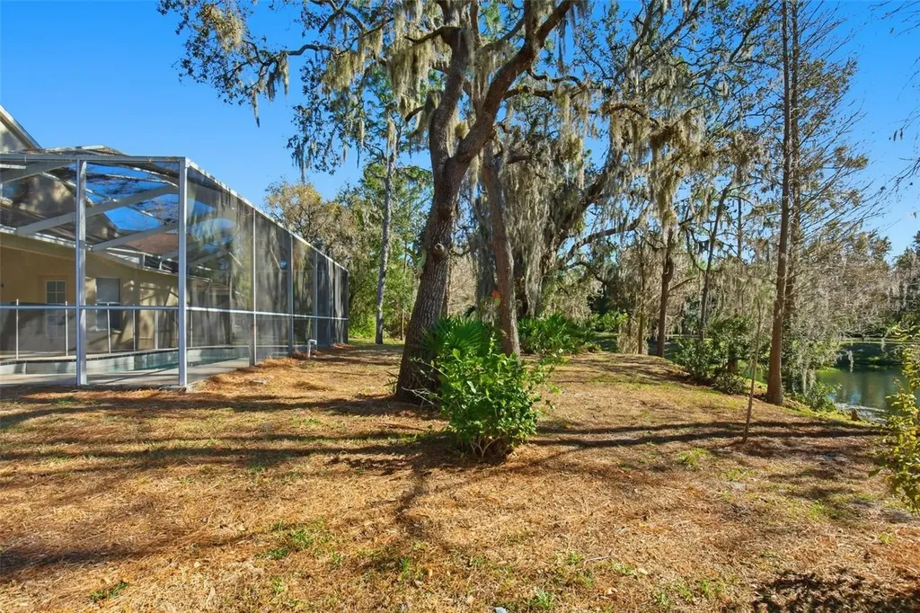 6219 Gannetdale Drive Lithia FL 33547