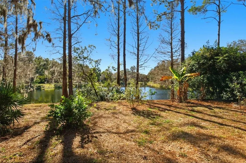 6219 Gannetdale Drive Lithia FL 33547