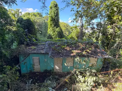 Lot A-1 Los Frailes Ward Guaynabo PR 00969
