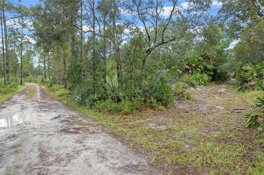 32745 Blackwater Oaks Drive Eustis FL 32736