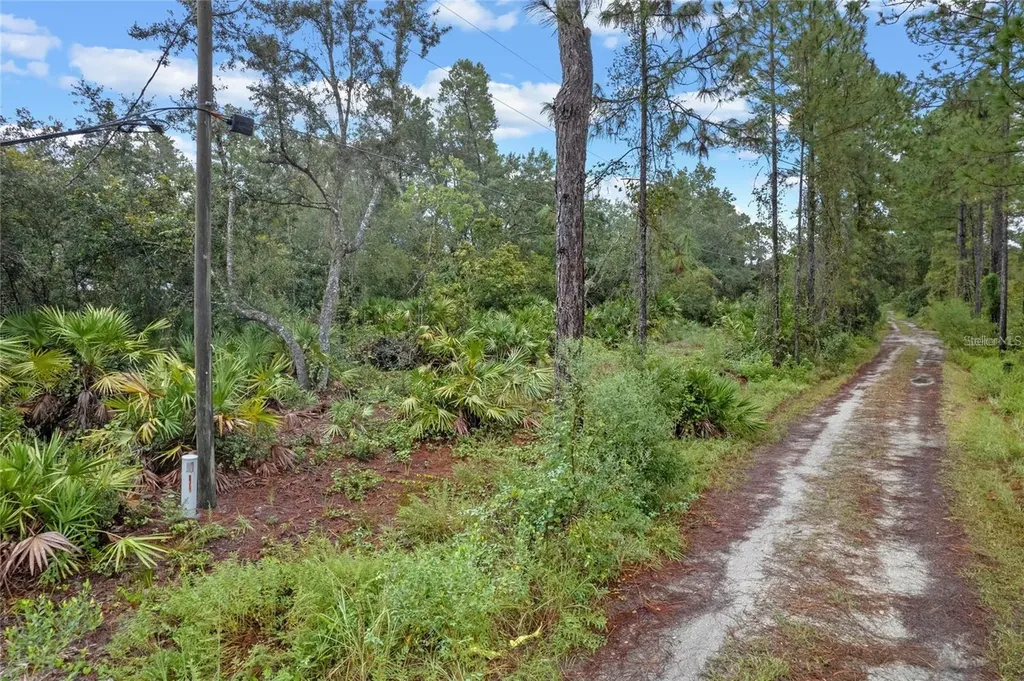 32745 Blackwater Oaks Drive Eustis FL 32736