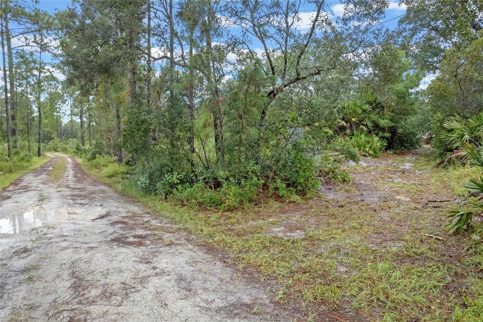 32745 Blackwater Oaks Drive Eustis FL 32736