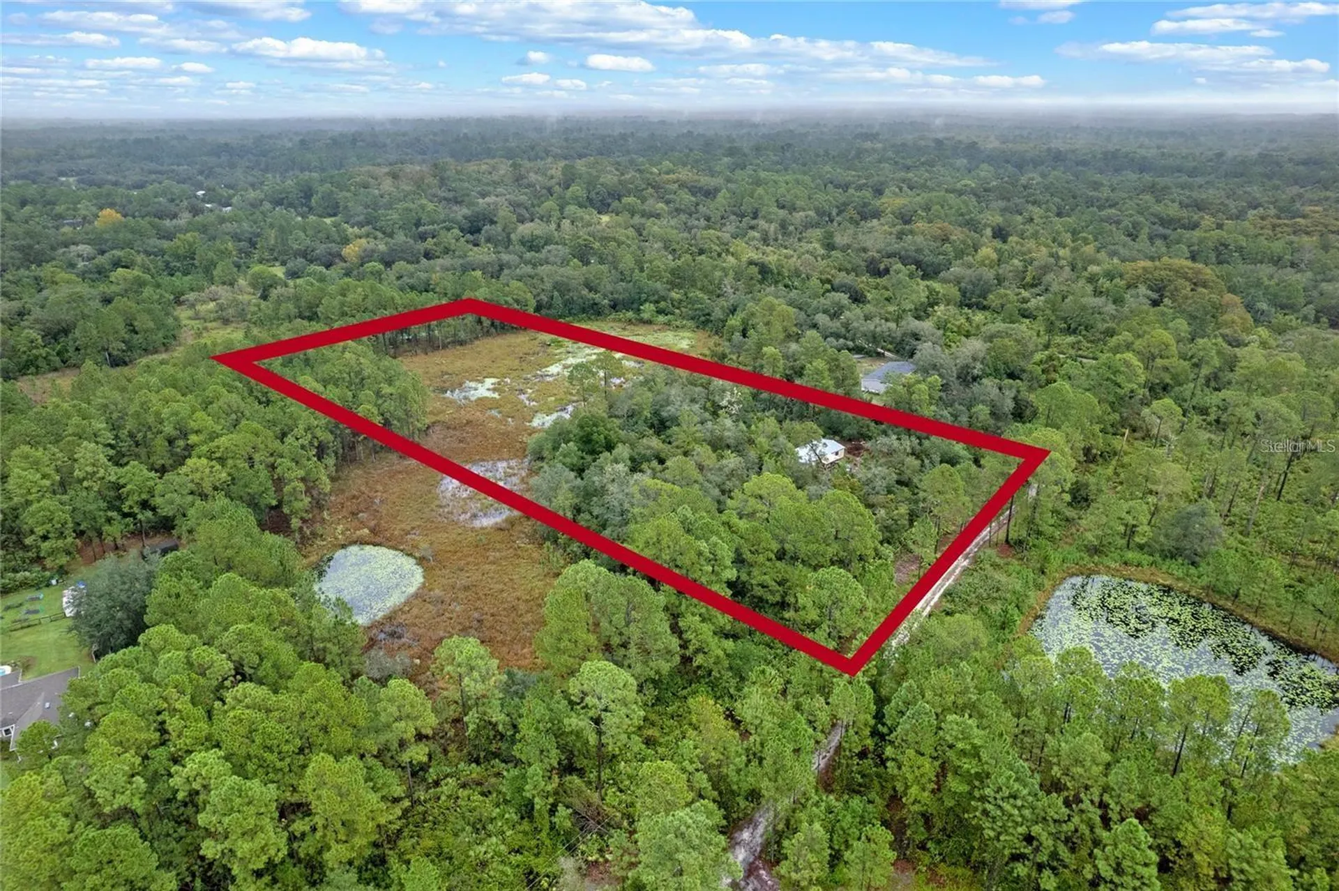 32745 Blackwater Oaks Drive Eustis FL 32736