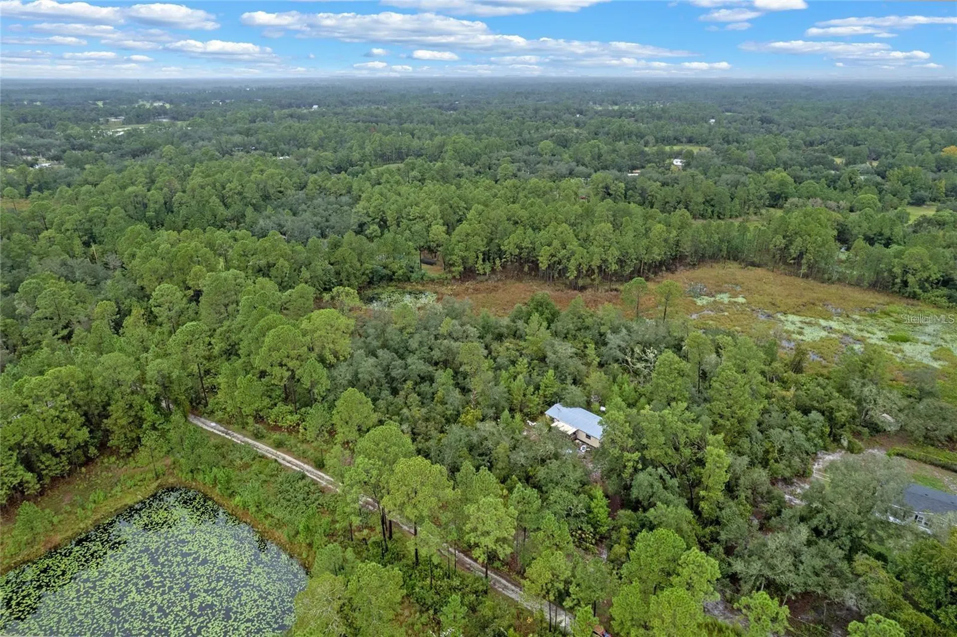 32745 Blackwater Oaks Drive Eustis FL 32736