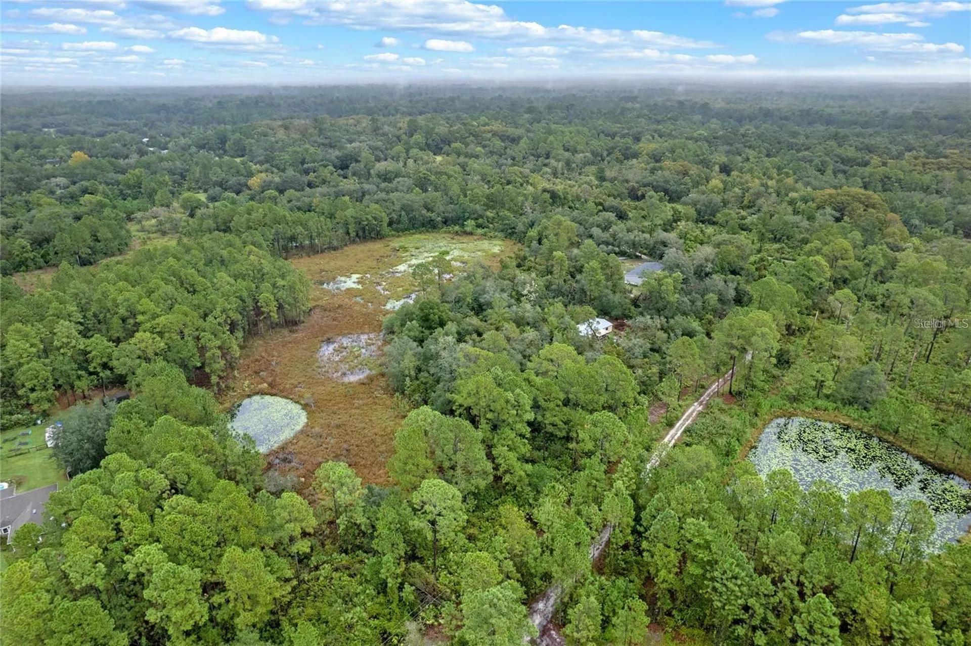 32745 Blackwater Oaks Drive Eustis FL 32736