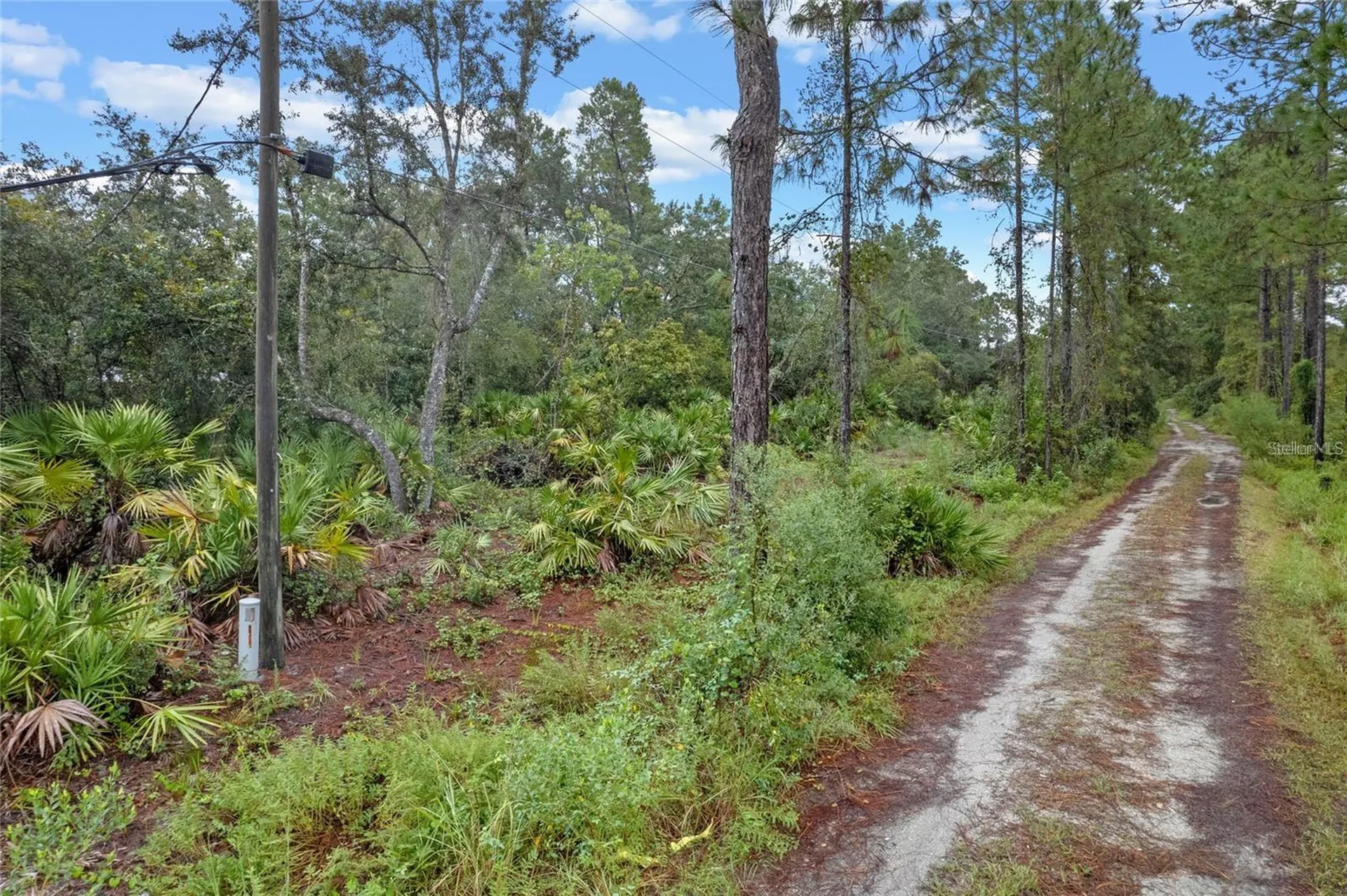 32745 Blackwater Oaks Drive Eustis FL 32736