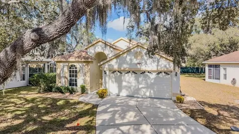 16501 Sandhill Crane Drive Spring Hill FL 34610