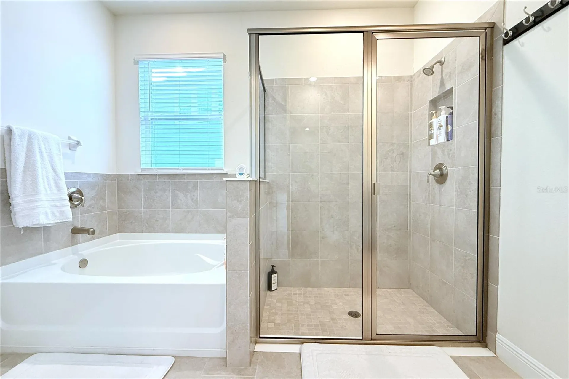 33034 Sand Creek Drive Wesley Chapel FL 33543