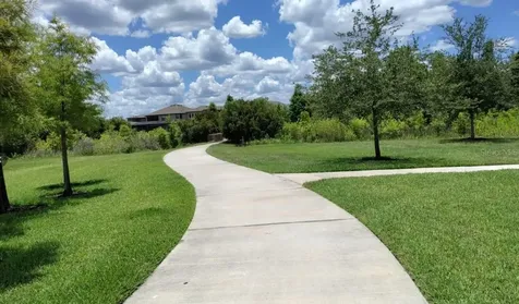 33034 Sand Creek Drive Wesley Chapel FL 33543