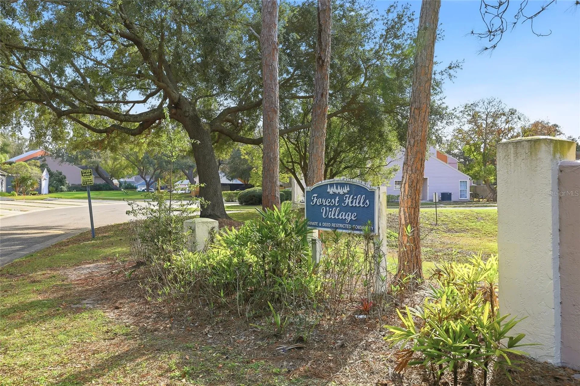 9478 Forest Hills Circle Tampa FL 33612
