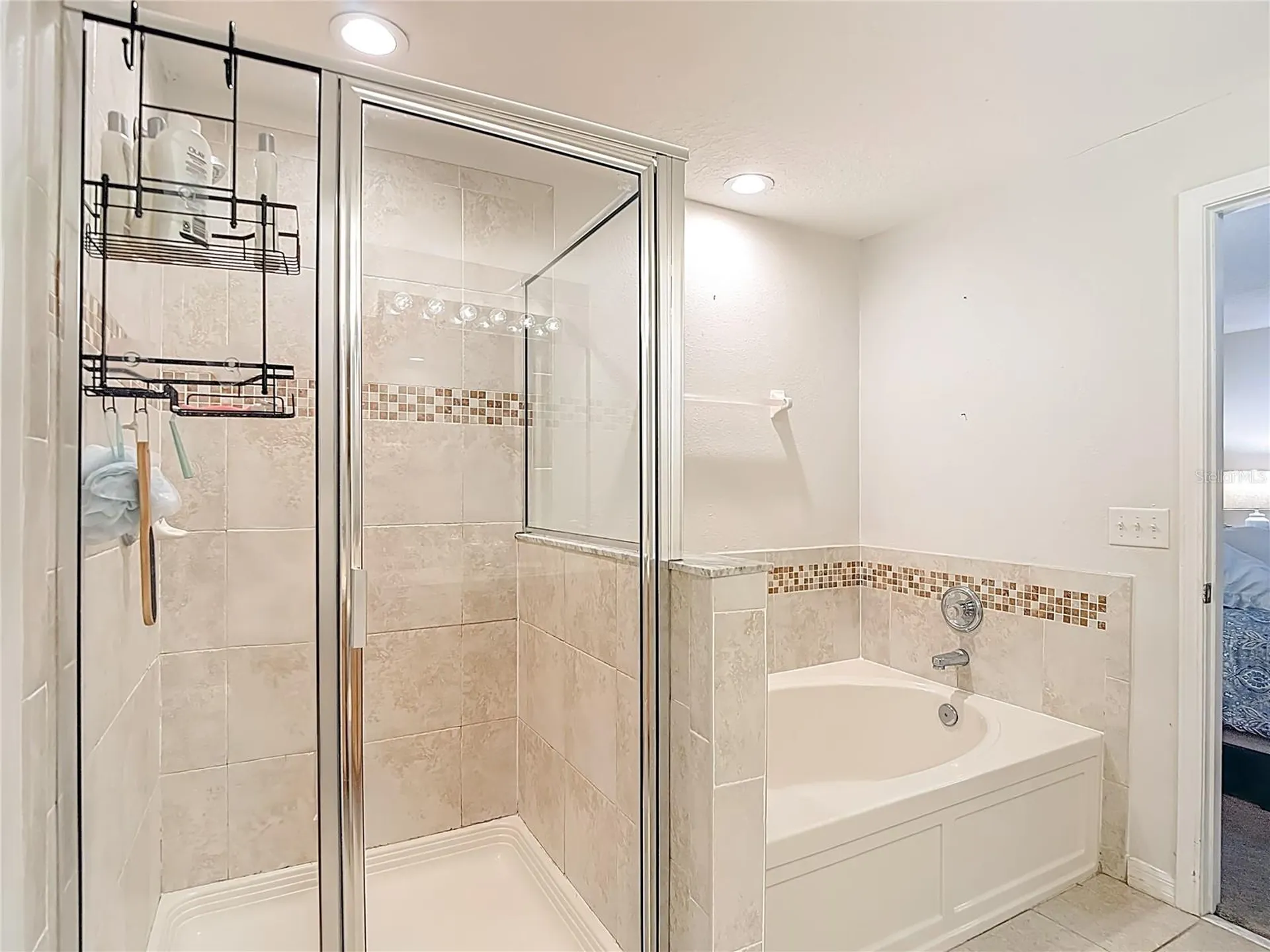 2426 Middleton Grove Drive Brandon FL 33511