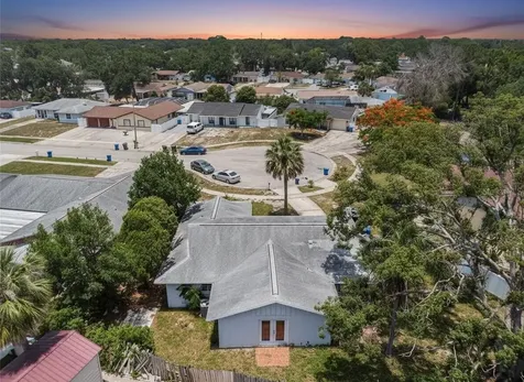 7004 Lambright Court Tampa FL 33634