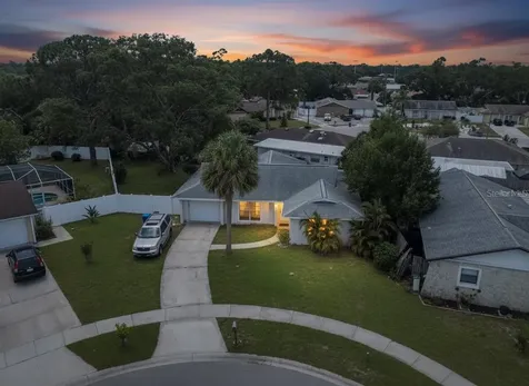 7004 Lambright Court Tampa FL 33634